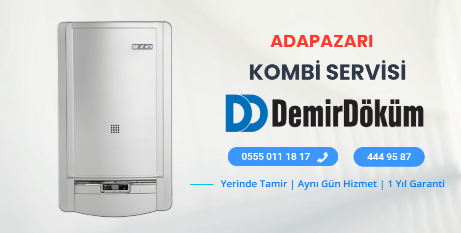 Adapazarı Demirdöküm Servisi